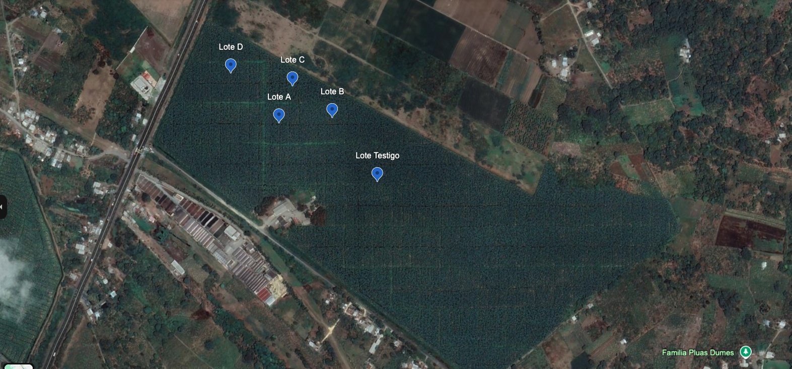 Dispositivo IoT 24/7